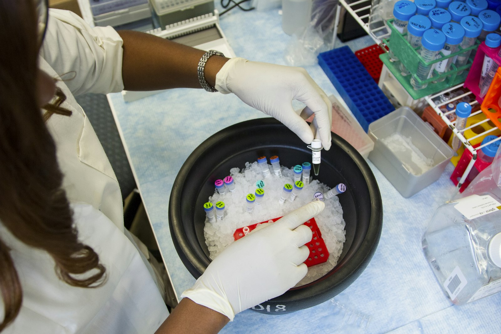 Laboratory researcher preparing samples